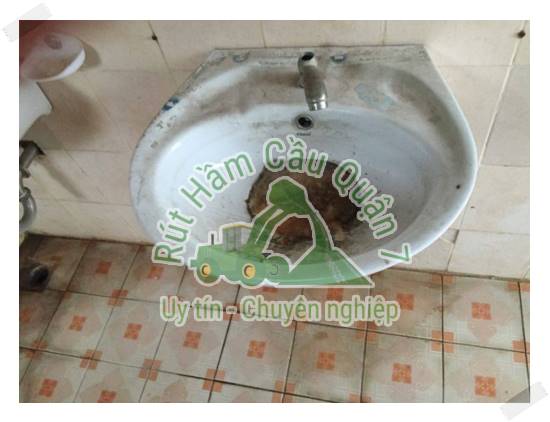 M&ugrave;i h&ocirc;i từ bồn cầu g&acirc;y ra