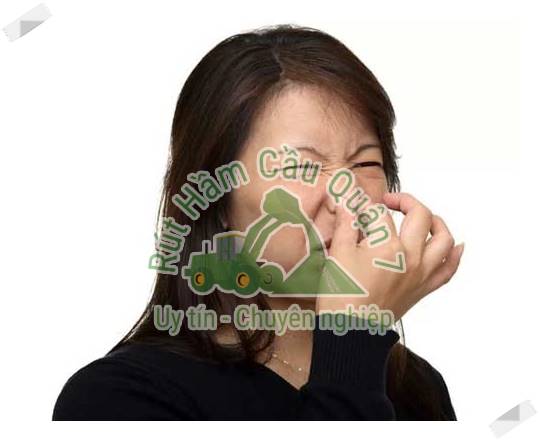 Nguy&ecirc;n nh&acirc;n dẫn đến bồn cầu bị h&ocirc;i